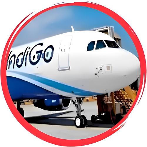 indigo air cargo booking